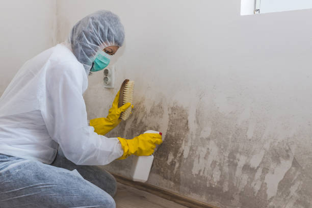 Best Professional Mold Removal  in Milford Square, PA