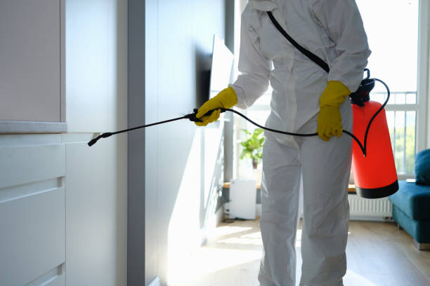 Professional Mold Removal in Milford Square, PA
