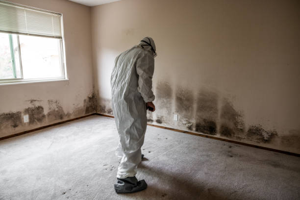 Milford Square, PA Mold Removal Company
