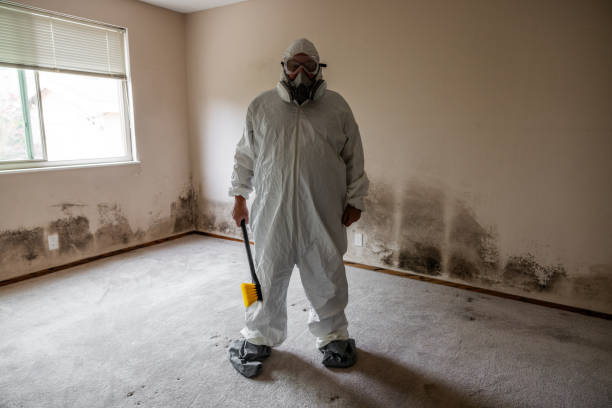 Best Attic Mold Removal  in Milford Square, PA